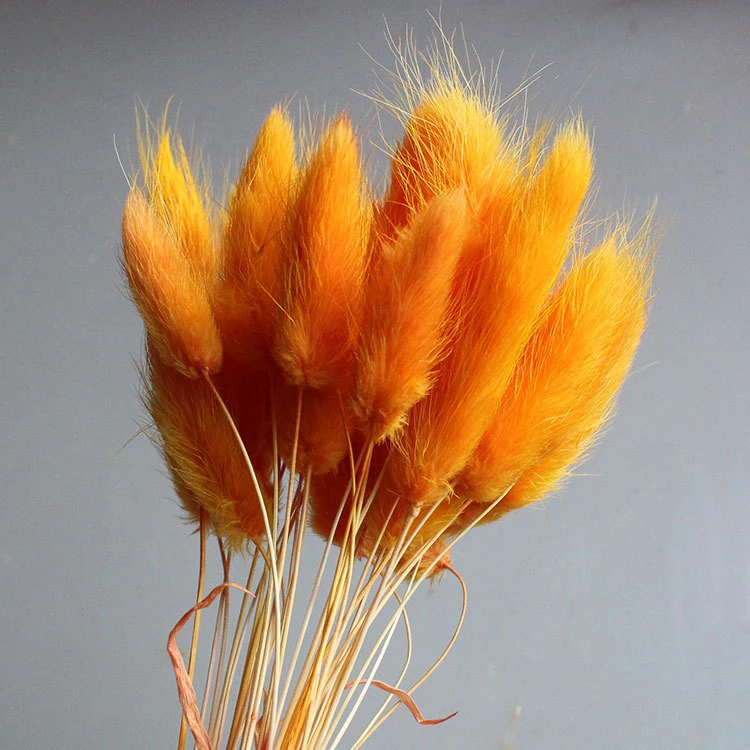 C0811 (4)