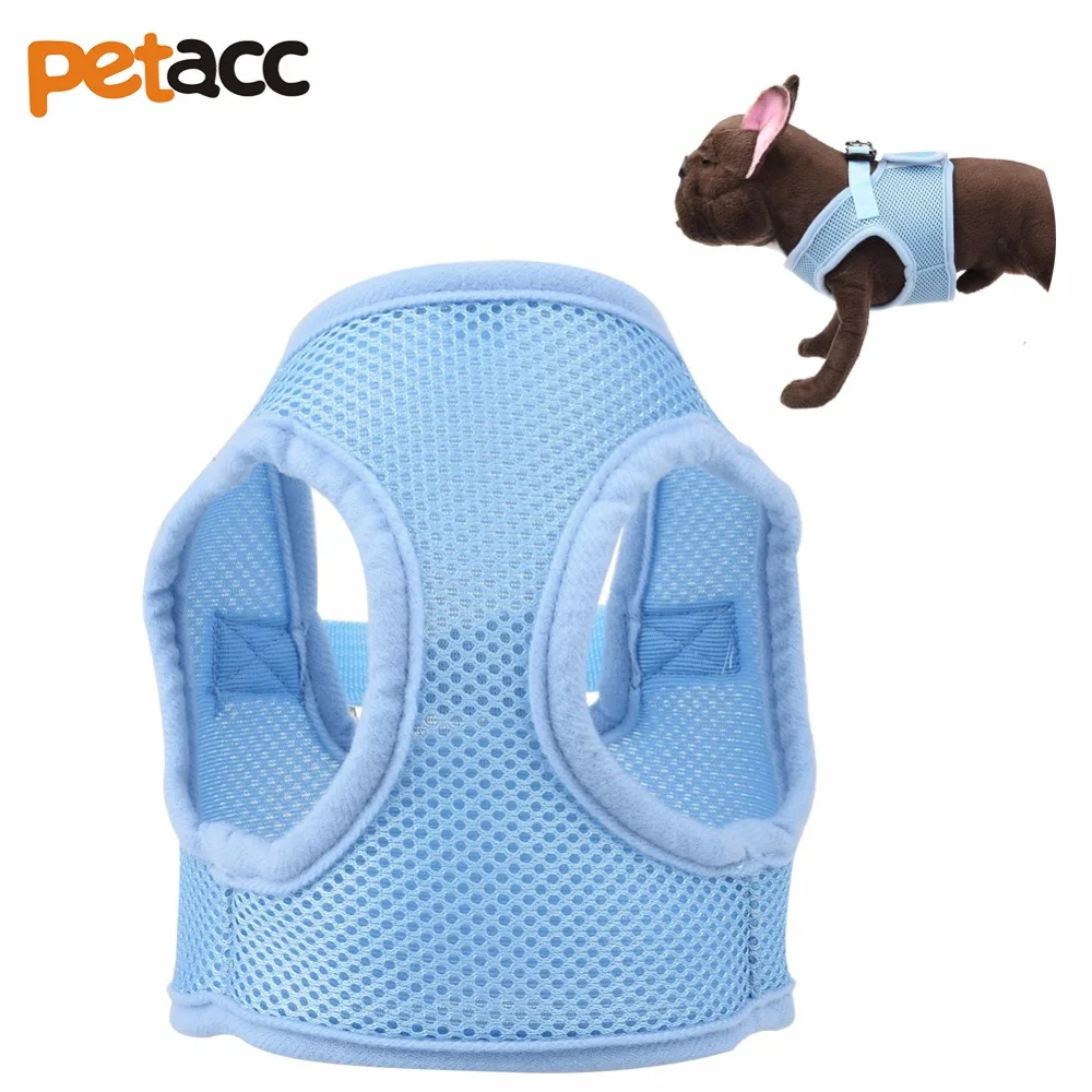 Buy Petacc Adorable Pet Vest Costume Charming Dog