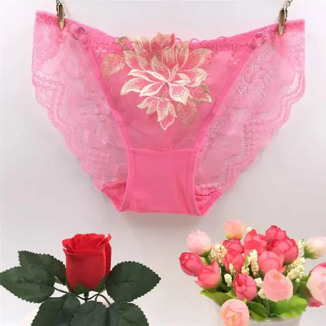 Women Lace Panties Underwear Briefs Low Waist Embroidered Flower Brief