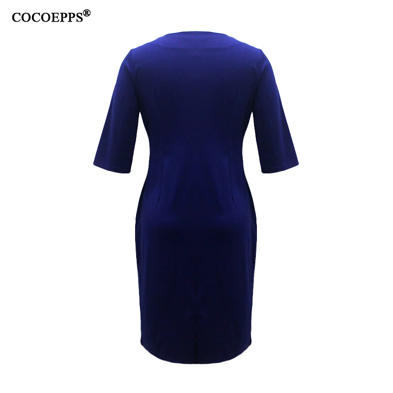 COCOEPPS12