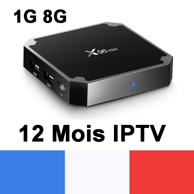 Французский IP tv Box X96 Мини Android tv Box с 5200+ 1 год IP tv Европа Франция арабские африканские Марокко футбол Smart IP tv Box - Цвет: 12 Mois IPTV 1G 8G