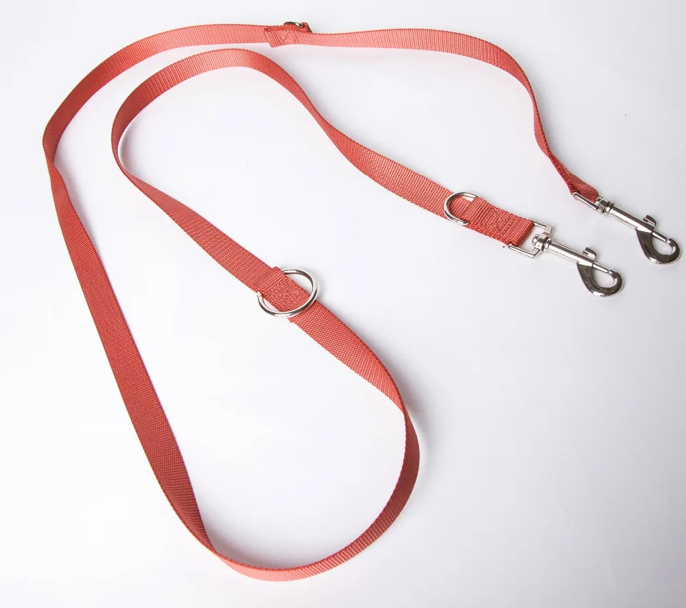 Double Dog Leash (2)