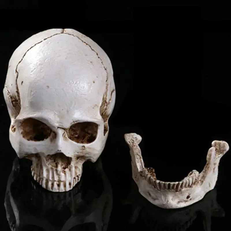 Человеческая голова Реплики смолы разделенные 3D череп формы для хэллоуина украшения DIY вечерние с привидениями Хэллоуин Череп товары для дома