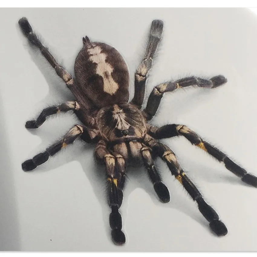 

Car Styling Sticker Motorcycle Car Decal Accessories for dacia lodgy seat suzuki gsr 600 ix35 volkswagen golf 5 suzuki ltz 400