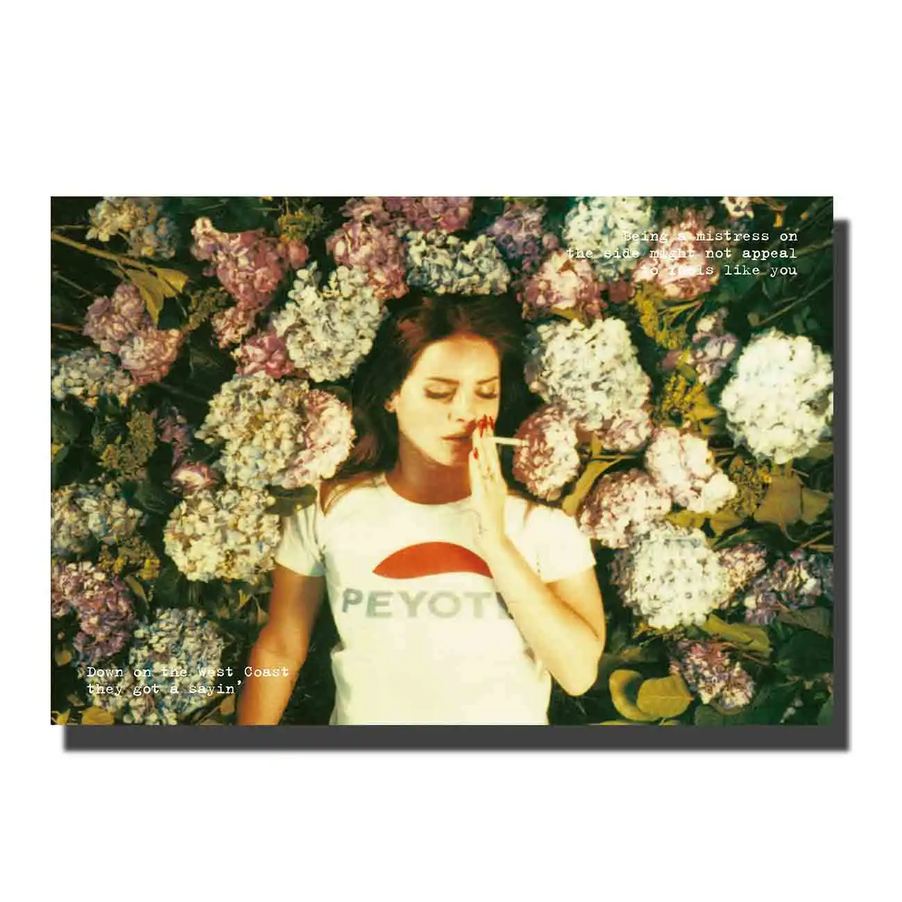 

Art Poster Print hot Home Wall decor8x12 12x18 24x36decor canvas Lana Del Rey Music Star hot