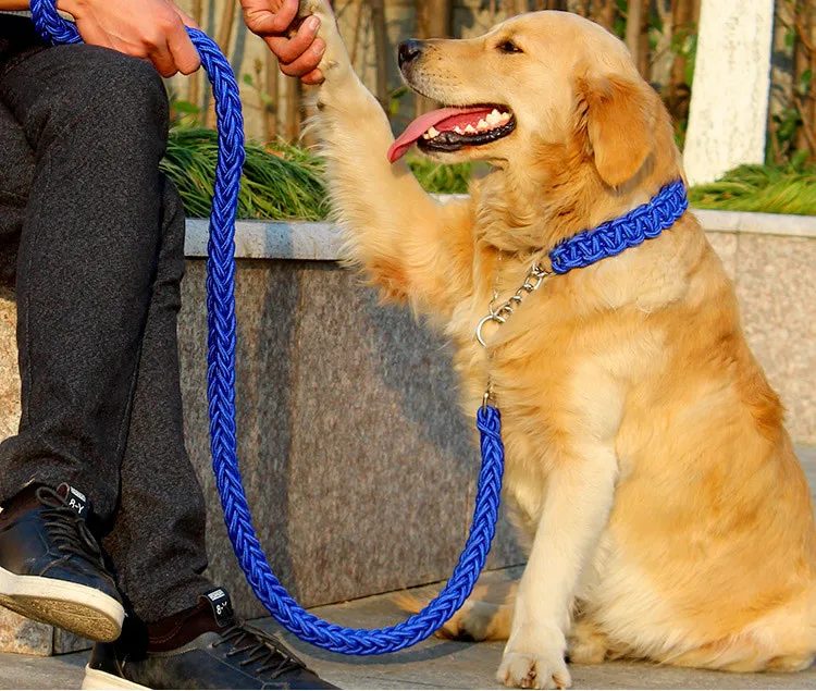 Upgrade Large Dog Leashes Nylon Strong Collar Leashes Stainless Steel Chain Prevent Breakaway Suit for Large Dog (8)