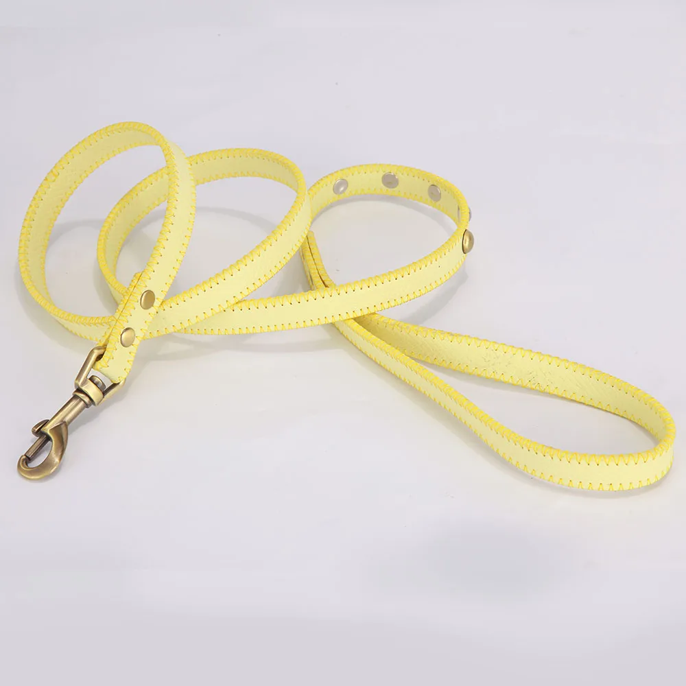 dog leash 6