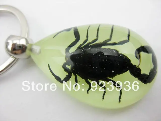 10 PCS Glow In The Dark Lucite MINI Style Teardrop Necklace Black Scorpion