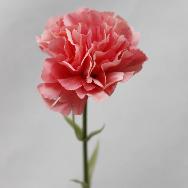 Luyue 16 видов цветов высокое качество Шелковый цветок гвоздики подарок на день матери искусственный цветок мать букет Фестиваль цветов Домашний Декор - Цвет: watermelon red