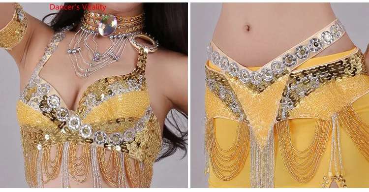 Handmade Beaded Embroidery Bra Skirt Belly Dance Costume For Women Oriental Dress For Dance set custom made Free Shipping