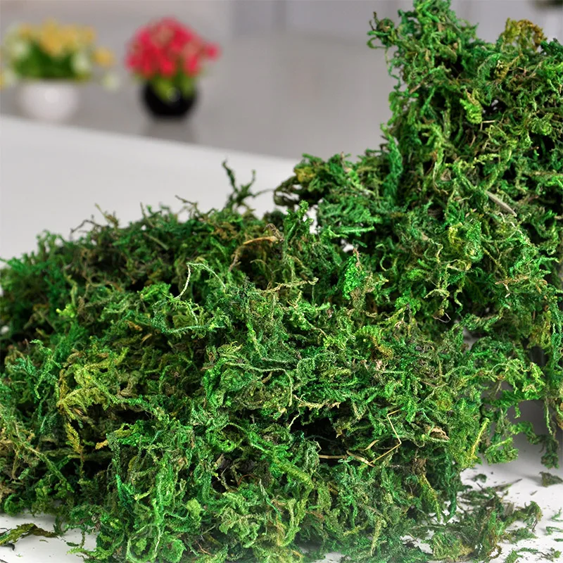 Buy Artificial Moss Plant DIY Flower Wall