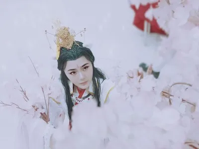 Аниме Tian Guan Ci Fu Cos Xie Lian Yue Shen Платиновый Павлин косплей полный набор парик обувь аксессуары ткань