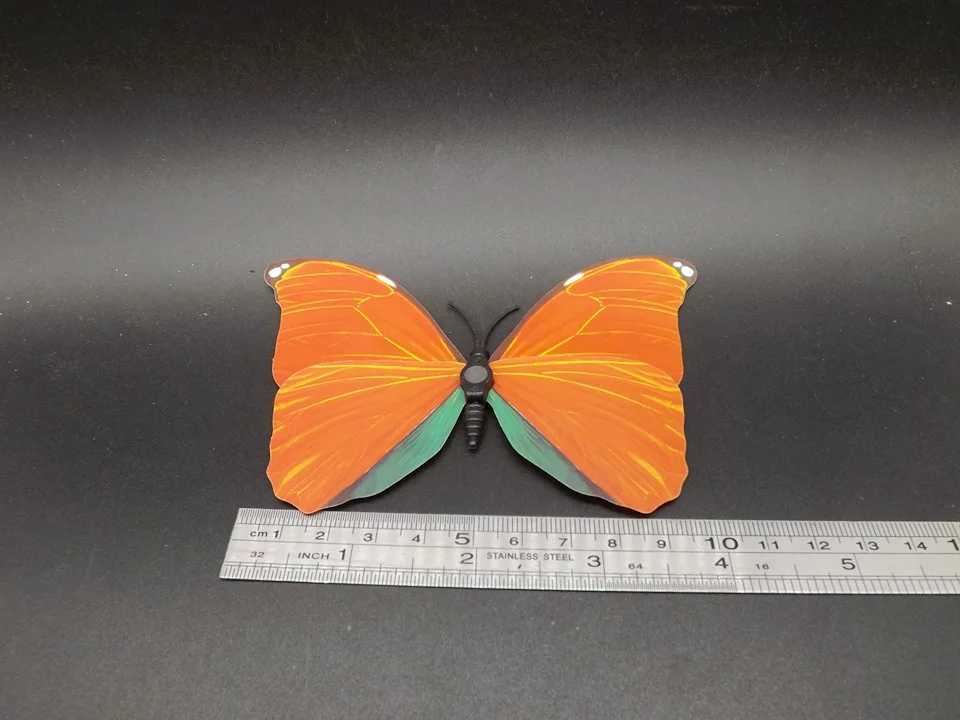 I226-Butterfly (12)