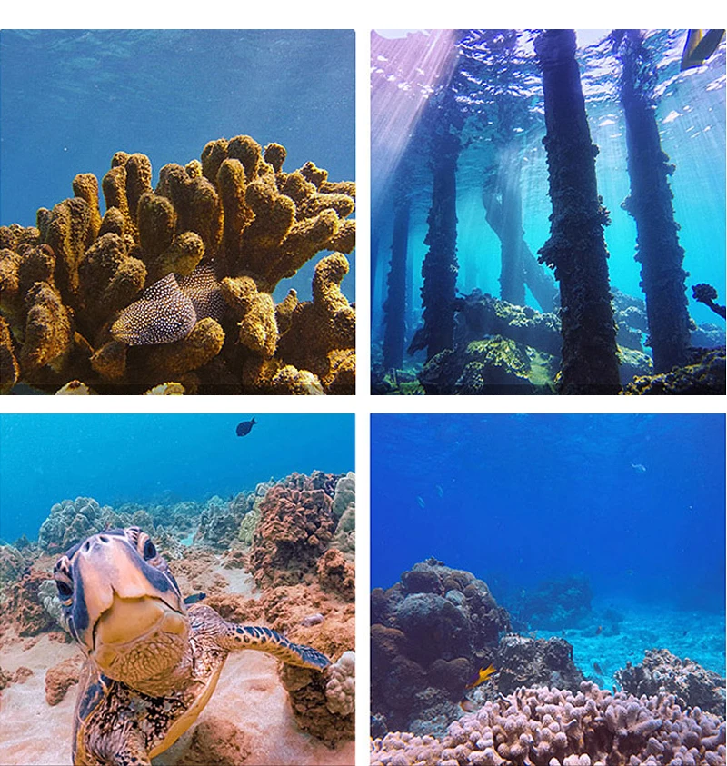 YC10235-gopro5_09