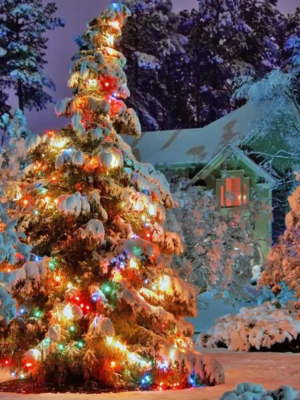 Allenjoy christmas backdrop 6.5x10ft(2x3m) Christmas tree snow vinyl photography backdrops photo studio ZJ photography backdrops christmas indoor christmas atmosphere 5x7ft 1 5x2 2m studio photo backdrop zj