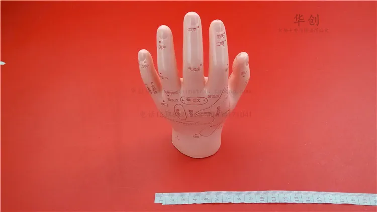 HD Human Acupuncture Palm hard Model Hand Medical teach Meridian Acupoint Model 15CM Traditional Chinese Medical Teaching Model HD Human Acupuncture Palm hard Model Hand Medical teach Meridian Acupoint Model 15CM Traditional Chinese Medical Teaching Model