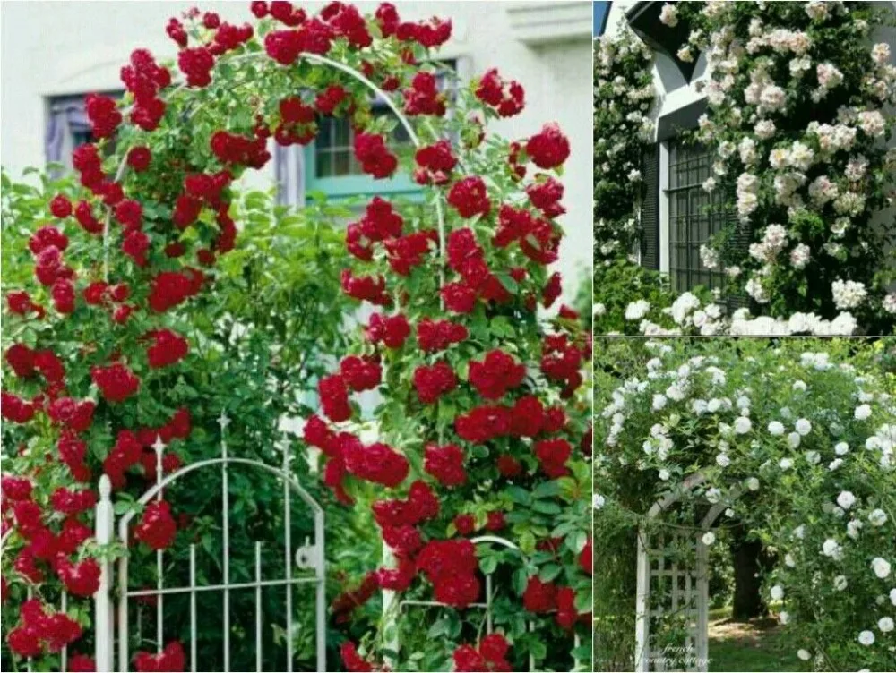 Fleur jardin décor promotion achetez des fleur jardin ... Clôture Facile décor