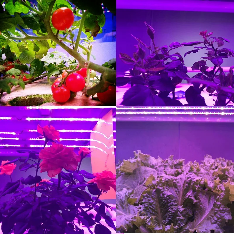ReBlue светильник для выращивания фитолампи Фито лампы растительный светильник 57 см 24 Вт T5 светодиодный светильник для выращивания полный спектр для растений цветок аквариум