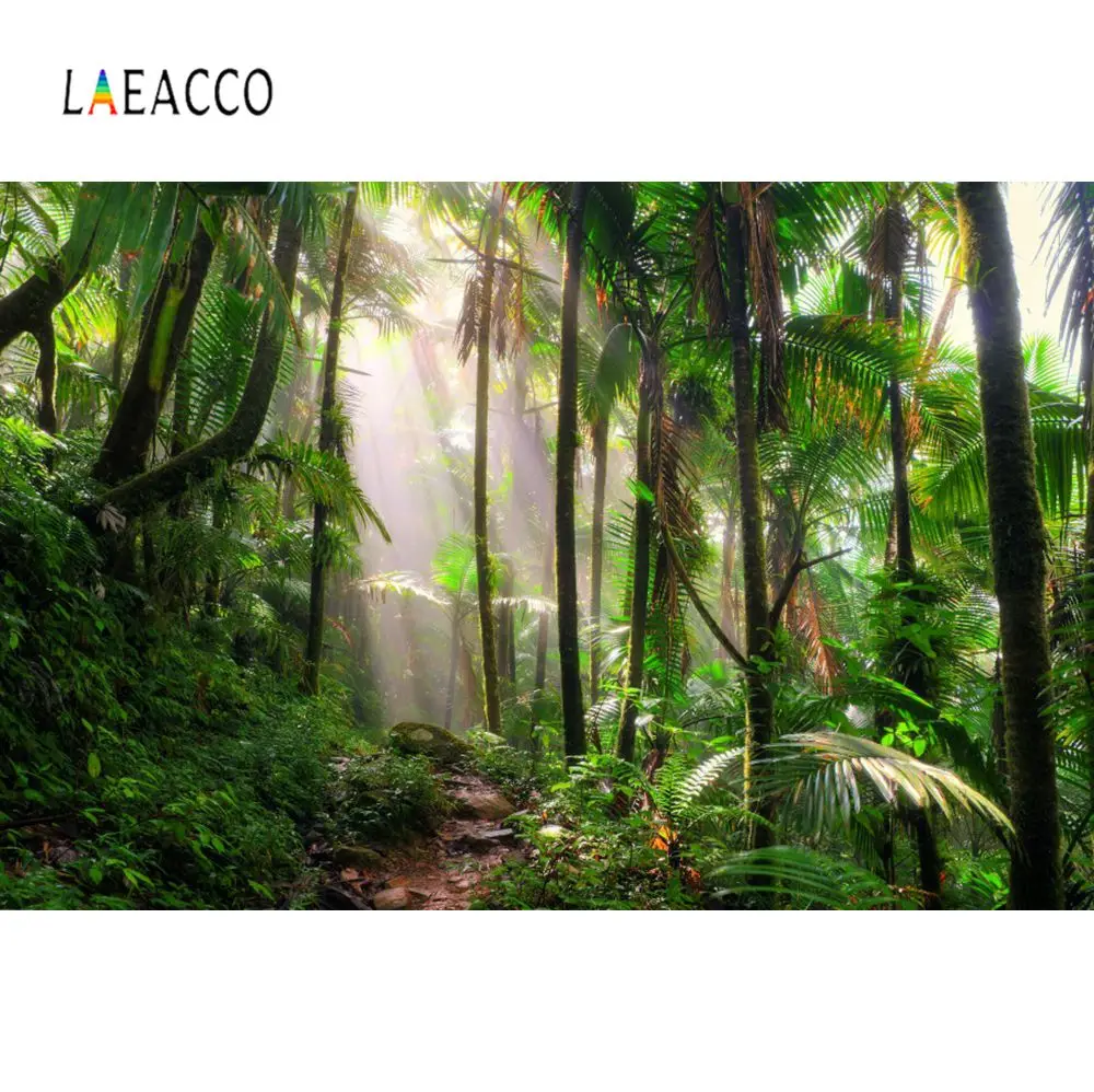 Laeacco тропический дождь лес зеленый мох трава портрет фото фоны Индивидуальные фотографии фонов для фотостудии