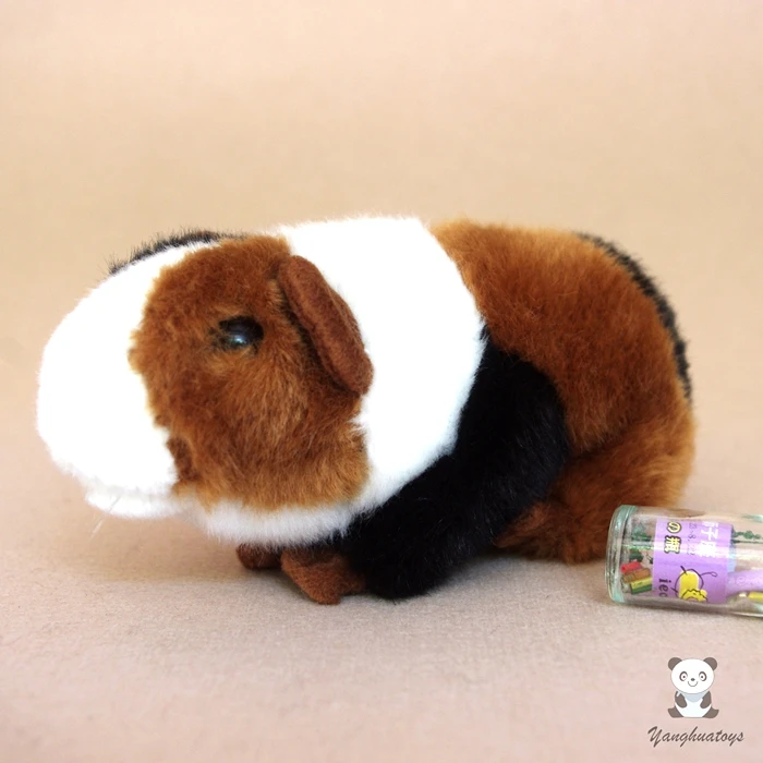 Peluche Cochon D Inde Pour Animaux De Compagnie Jouet Pour Bebe Simulation D Animaux Hamster Cadeau De Saint Valentin Aliexpress Peluche Cochon D Inde Pour Animaux De Compagnie Jouet Pour Bebe Simulation D Animaux Hamster Cadeau De Saint Valentin Aliexpress