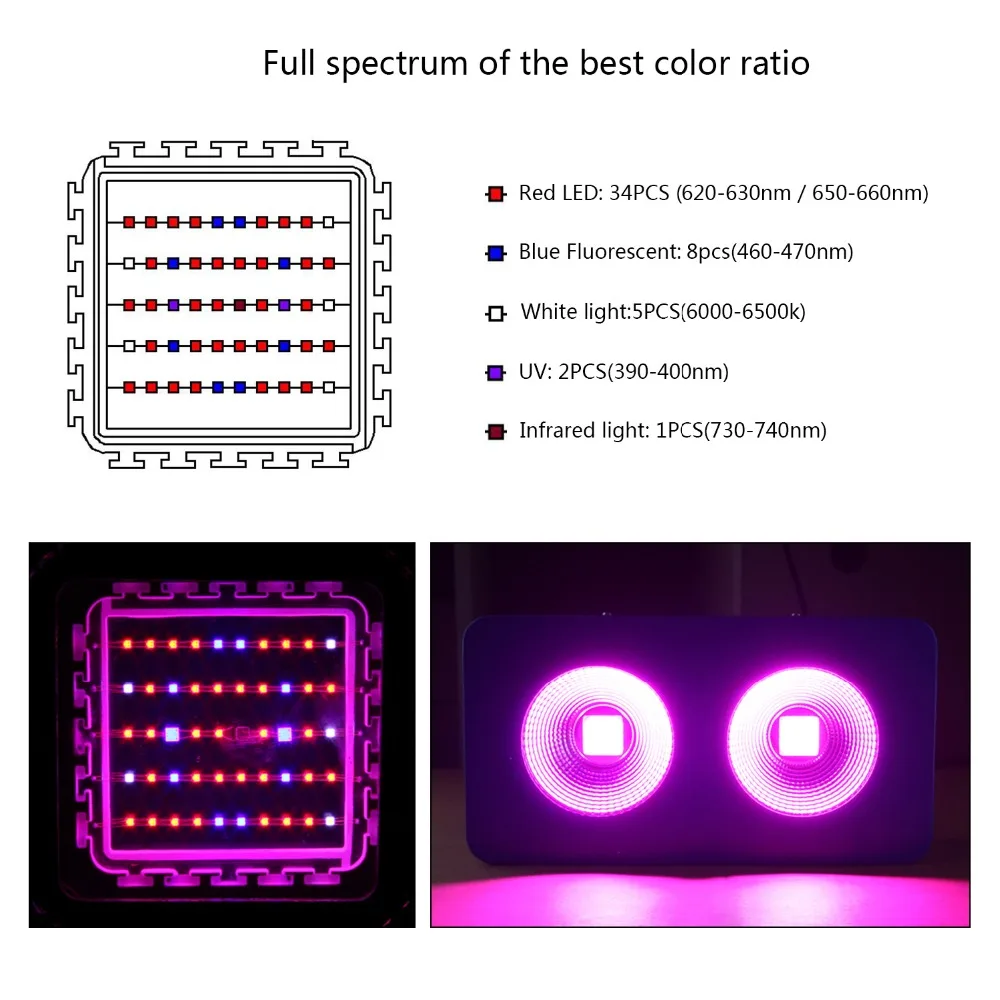 8882441632_609180003