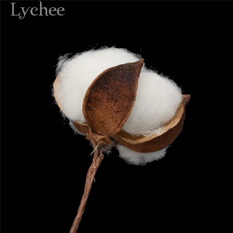 Lychee 10 шт. искусственные Натуральные Сушеные хлопковые Цветочные головки сушеные прессованные цветы DIY ремесла Свадебная вечеринка украшения