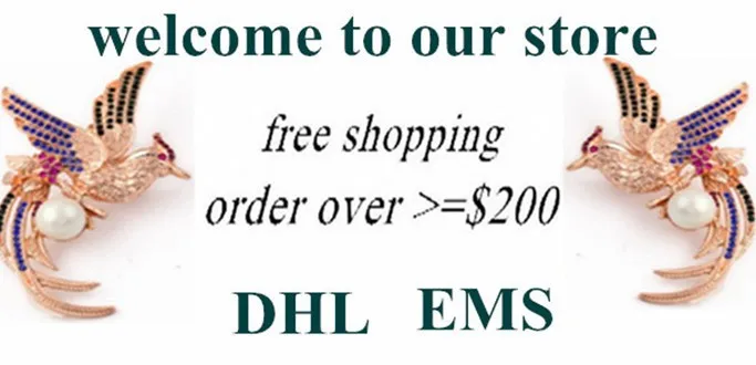 HTB1NFX6IpXXXXaVXXXXq6xXFXXXs.jpg?size=4