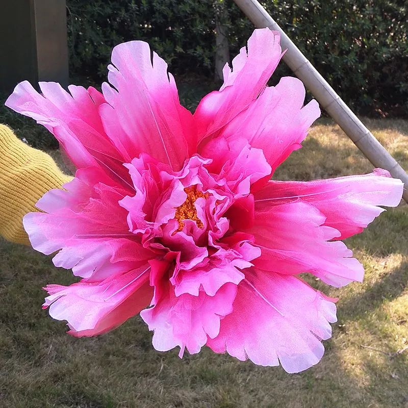 IMG20180323145013