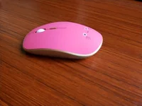 Computer Peripherals