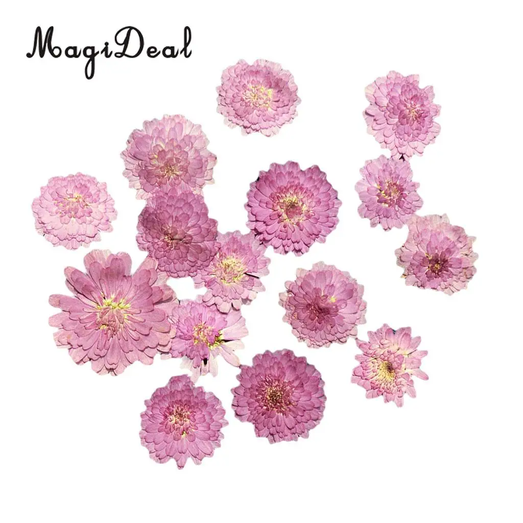 10x Pressed Real Dried Flower Dry Leaves for DIY Crafts Bookmark Card Making	