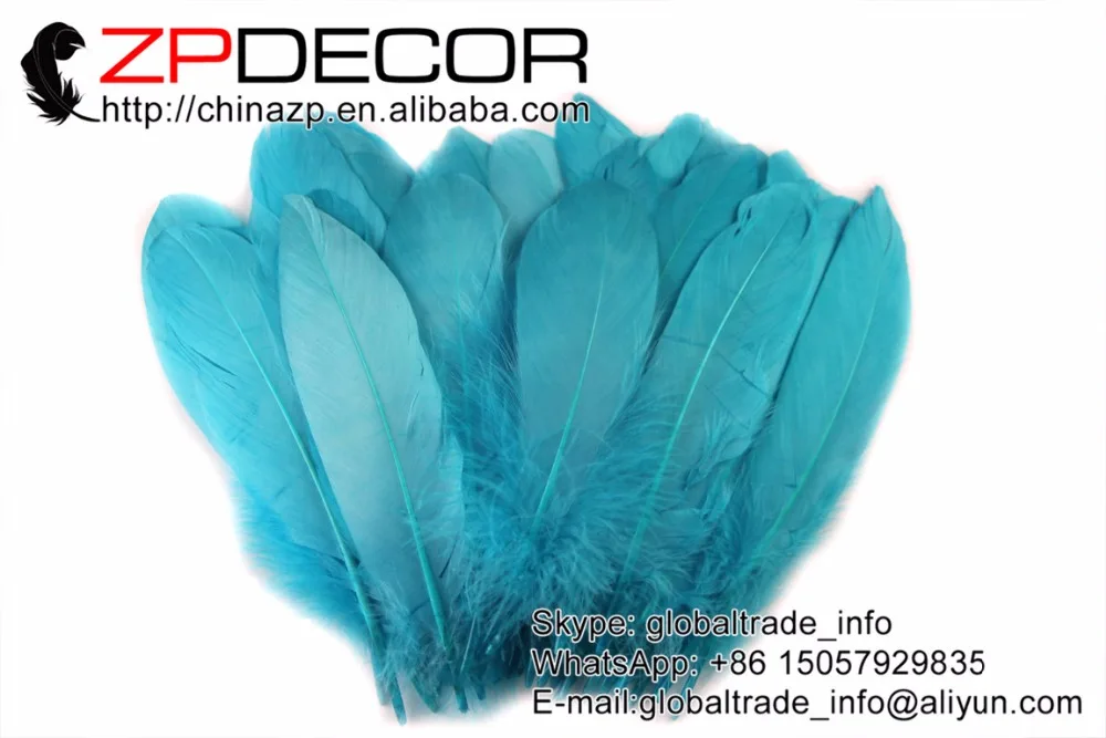 blue goose feathers (4)