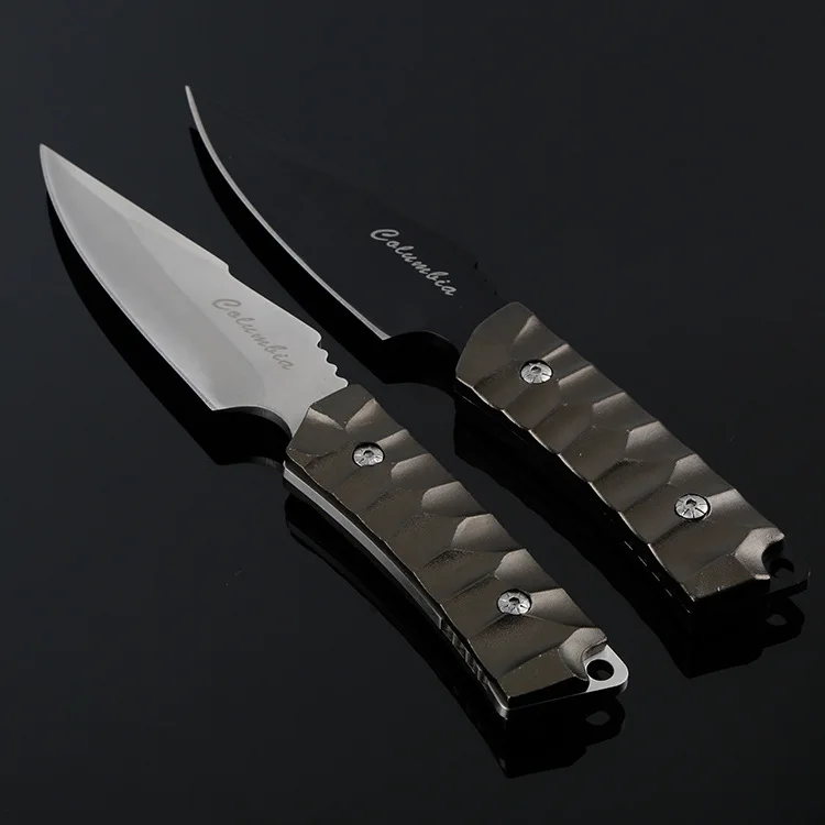 3860196647_1773764478