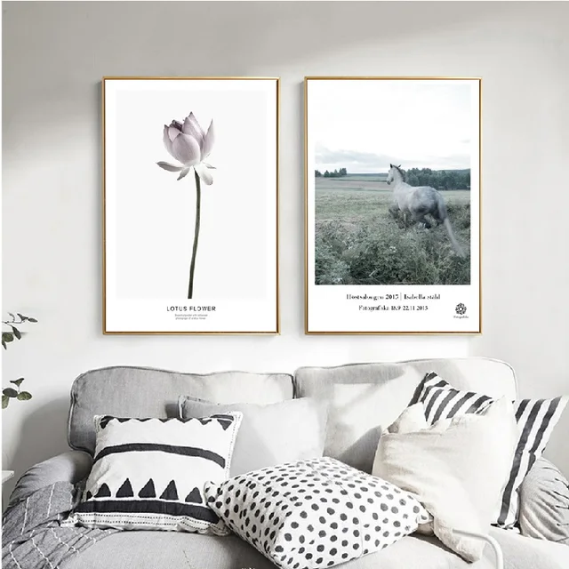 modern nordic calm lotus blossom horse silence grey background