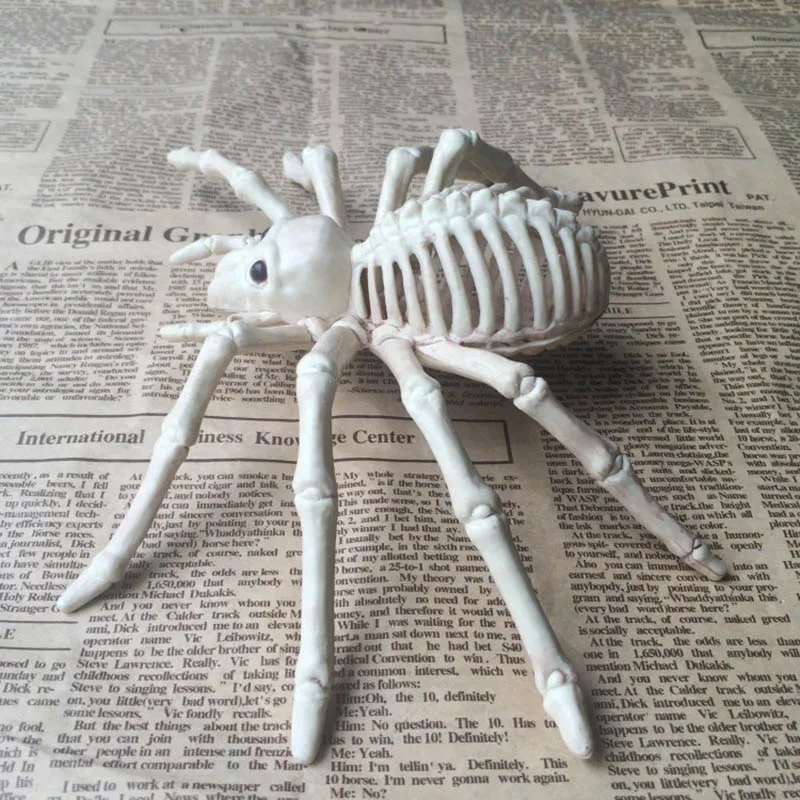 

Funny Cute Animal Skeleton Model Mouse Rat/Spider/Scorpion Bones Halloween Party Decoration XH8Z AU14