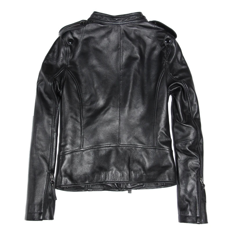 black back