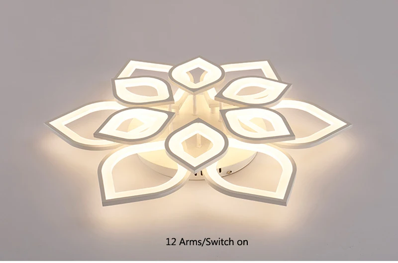 ceiling light (25)