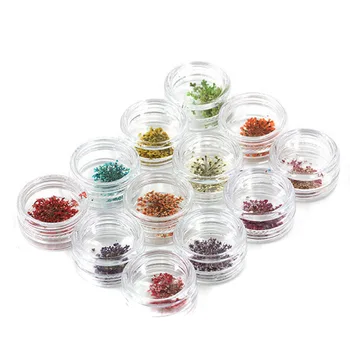 

60Pcs/Set DIY Nail Art Dried Flowers With Bottle 3D Dry Flower/Babysbreath/Leaves Nails Stickers Decoration Manicure Tip KG66