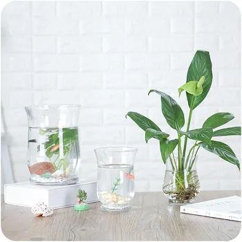 

Office Decor Small Size Flower Holder Lovely Jardiniere Home Decoration Glassc Vase