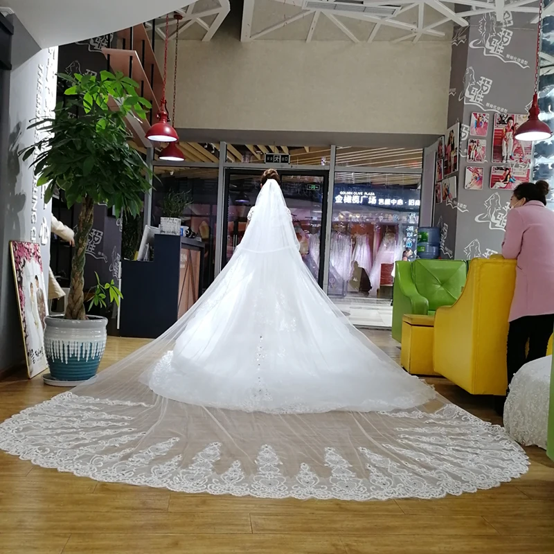 2019 Luxury Real Image Wedding Veils 3.8-5 Meter Long Lace Applique Crystals Cathedral Length White Bridal Veil High Quality