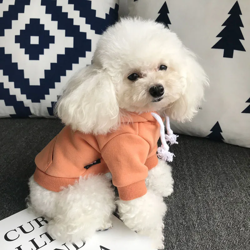 Осенне-зимняя одежда для собак для маленьких собак, утепленные толстовки для чихуахуа, щенка, хлопковое теплое пальто, домашний Йоркширский питомец, костюм - Цвет: Orange