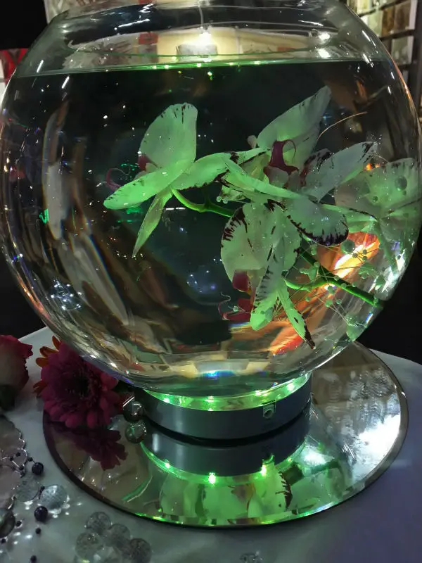 Flower Vase Light Base 