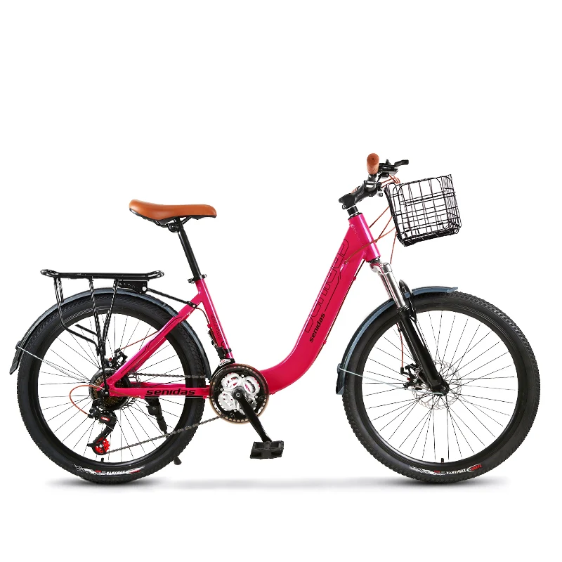 24 inch aluminum bike