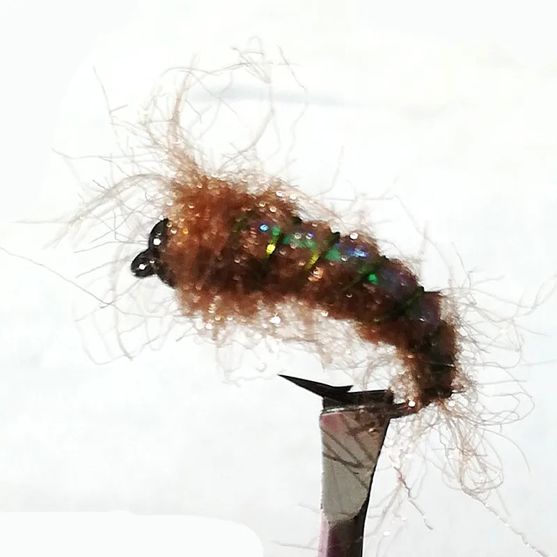 IMG_20181212_112458_