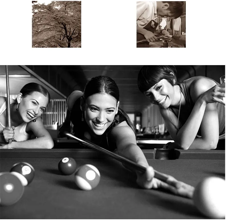 pool-cue-stick_03