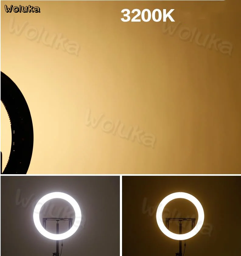 36020181217150155083