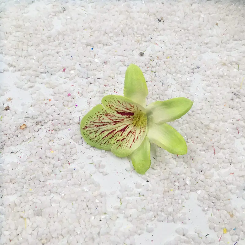 HINDJEF 5 шт./искусственные шелковые цветы маленькая голубая бабочка Орхидея DIY моделирование цветок головы декоративные искусство и ремесла - Цвет: Fruit green