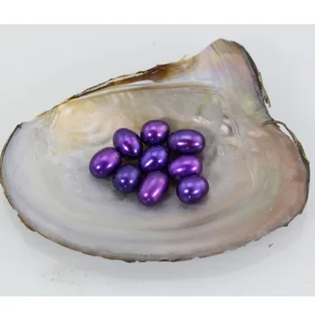 

Loose Beads 7-8MM Colorful Cultured oval Freshwater Pearl Fashion DIY Jewelry AAA Grade best birthday gift For Women LO027