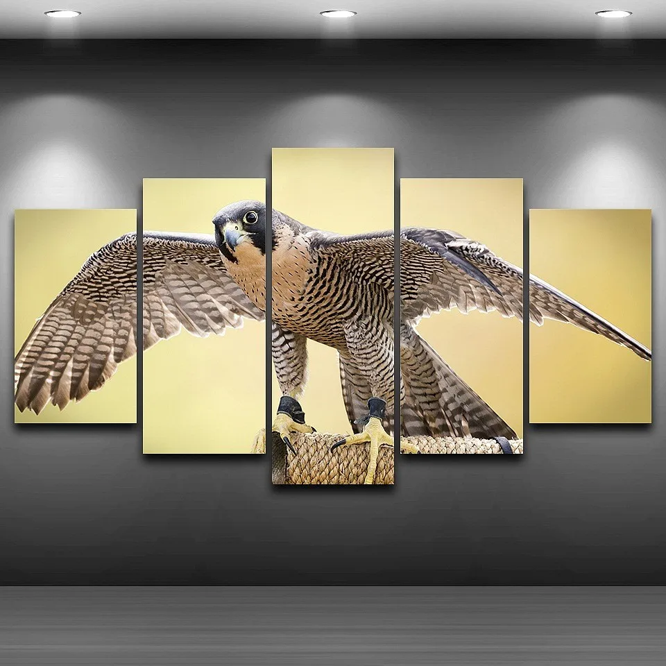 HTB1RaOeOVXXXXcpXXXXq6xXFXXX1