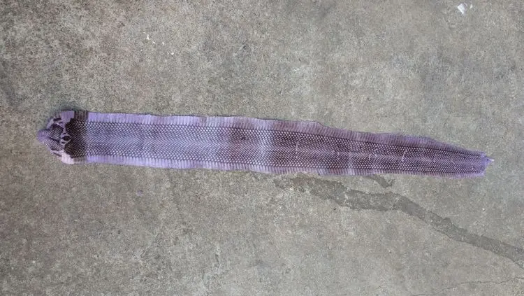Искусственный воспитание фиолетовый натуральной змея сырой кожи кожа материал