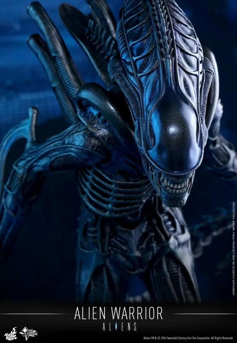 $_10(2)